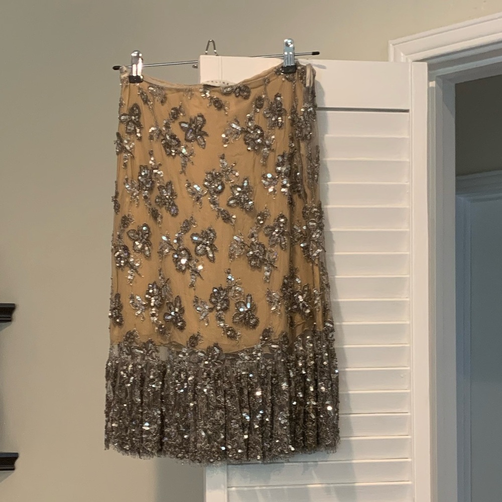 Celine Tan and Silver Embellished Skirt